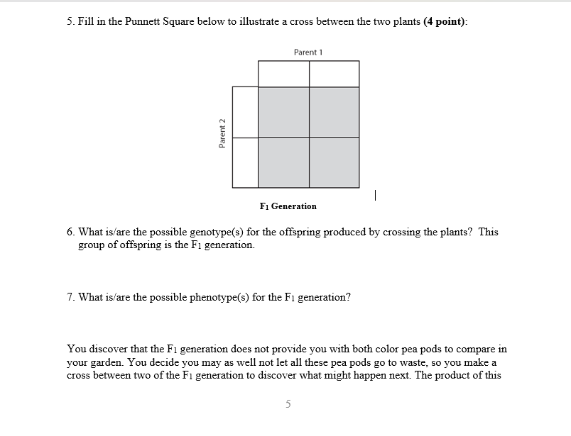 5. Fill In The Punnett Square Below To Illustrate A | Chegg.com