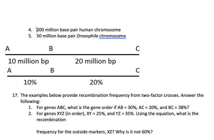 Solved 9. Genes A, B, And Care On Different Chromosomes. A | Chegg.com