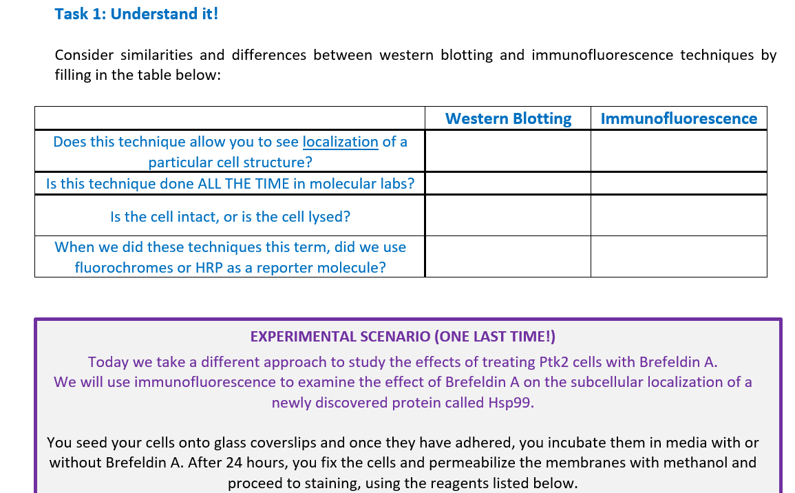 Solved Consider similarities and differences between western | Chegg.com