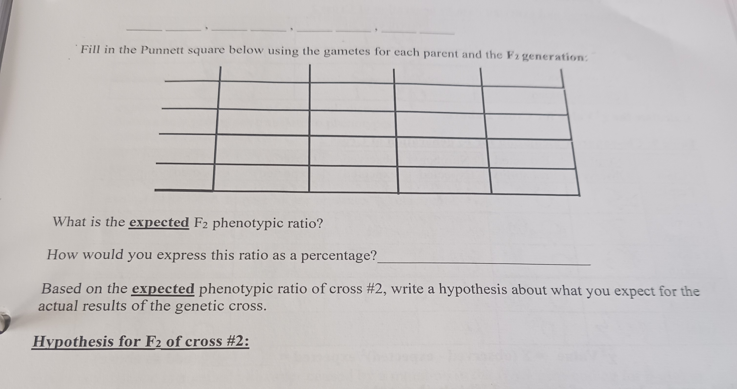 Fill in the Punnett square below using the gametes | Chegg.com