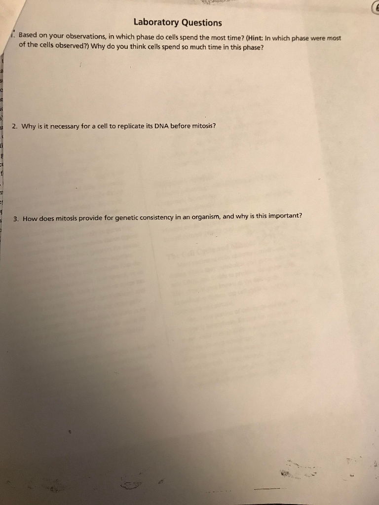 Solved Laboratory Questions 1. Based on your observations, | Chegg.com