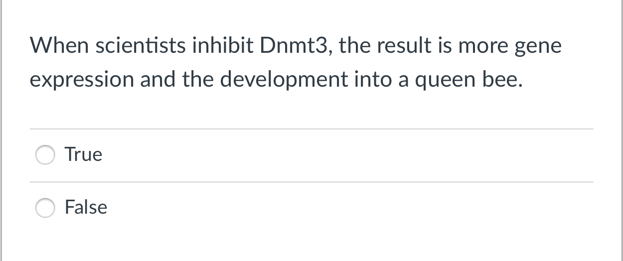 When scientists inhibit Dnmt3, the result is more gene
expression and the development into a queen bee.
True
False