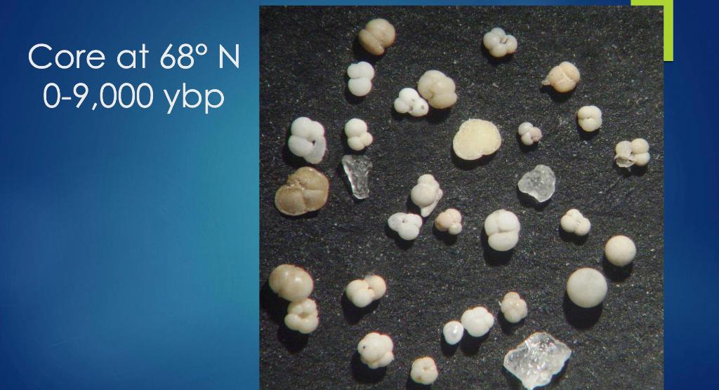 Solved Count the number of Foraminifera (Forams) and Ice | Chegg.com