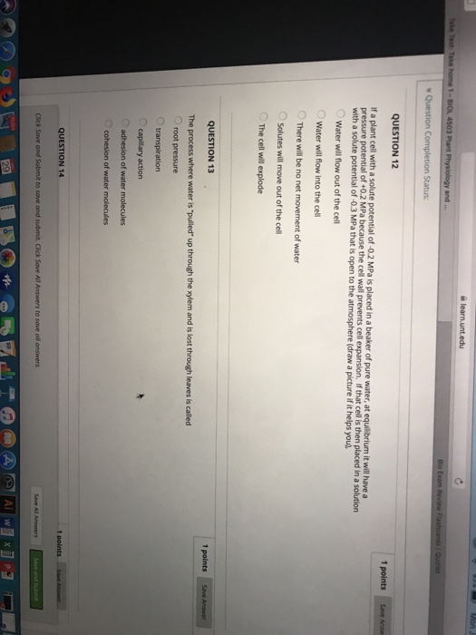 Solved and QUESTION 12 1 points Save Answ f a plant cell | Chegg.com