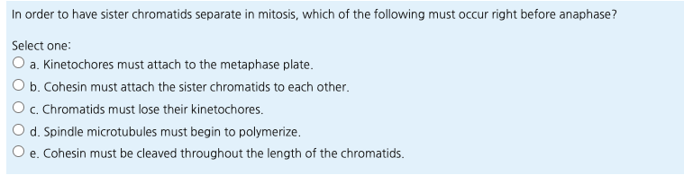 Solved In Order To Have Sister Chromatids Separate In | Chegg.com Solved In Order To Have Sister Chromatids Separate In | Chegg.com