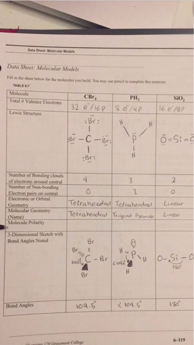 Solved Data Sheet Molecular Models Data Sheet: Molecular | Chegg.com