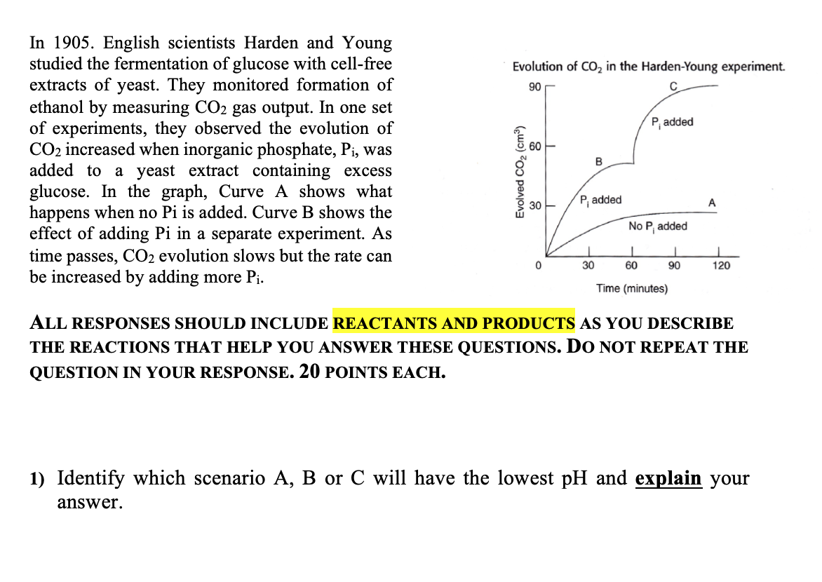 harden young experiment deutung