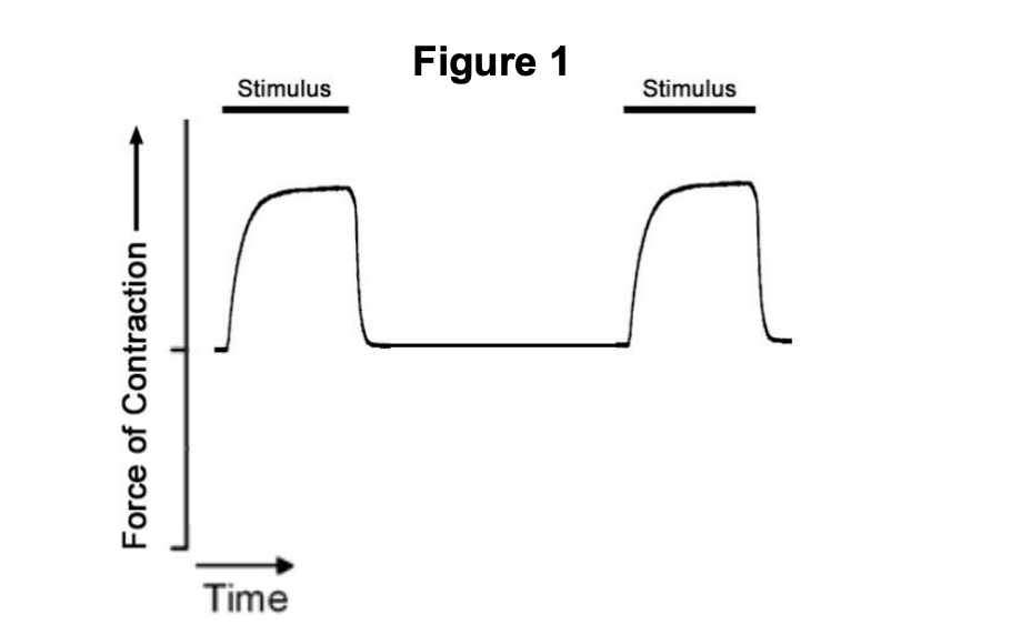 Motor Unit Time Graph Solved Figure 1 is the graph of a normal motor unit's | Chegg.com