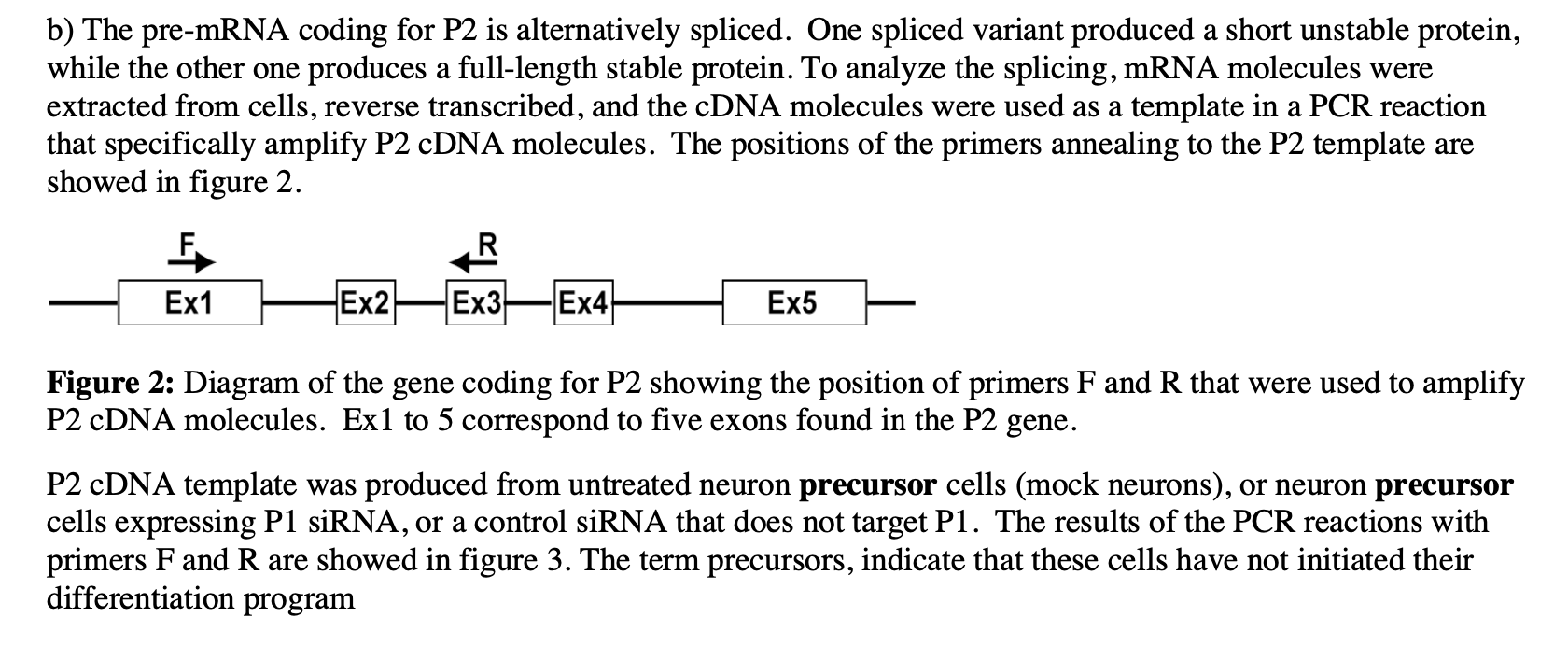 Solved b) The pre-mRNA coding for P2 is alternatively | Chegg.com