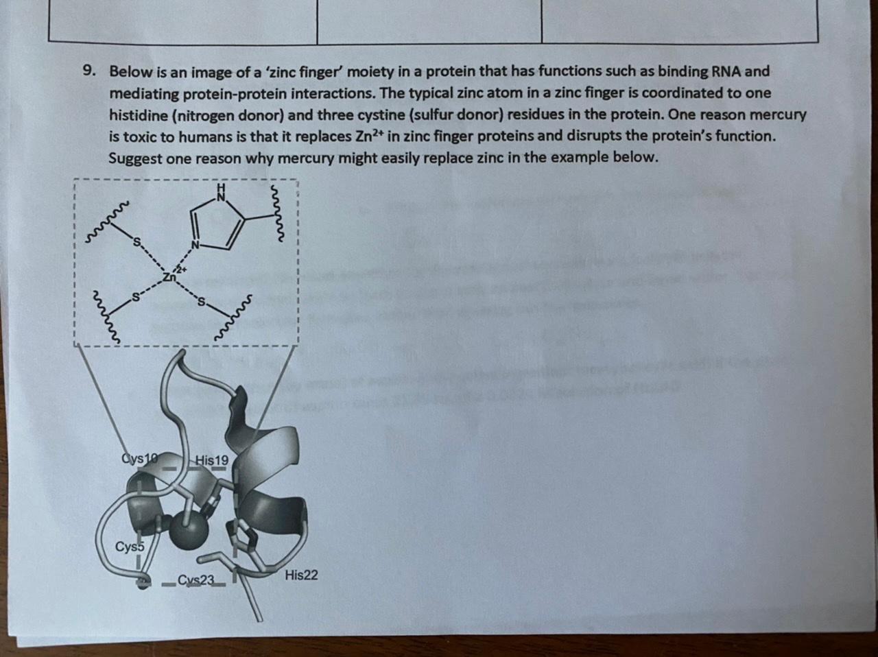 Solved 9. Below is an image of a 'zinc finger' moiety in a