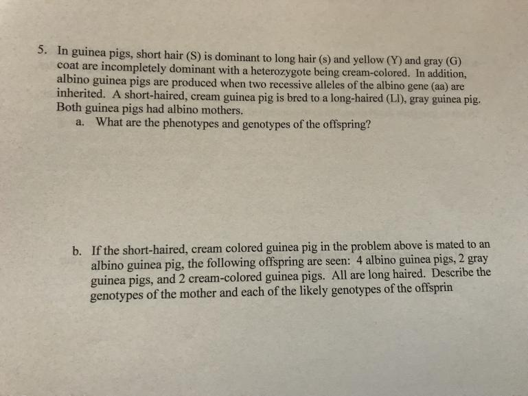 5 In Guinea Pigs Short Hair S Is Dominant To L Chegg Com