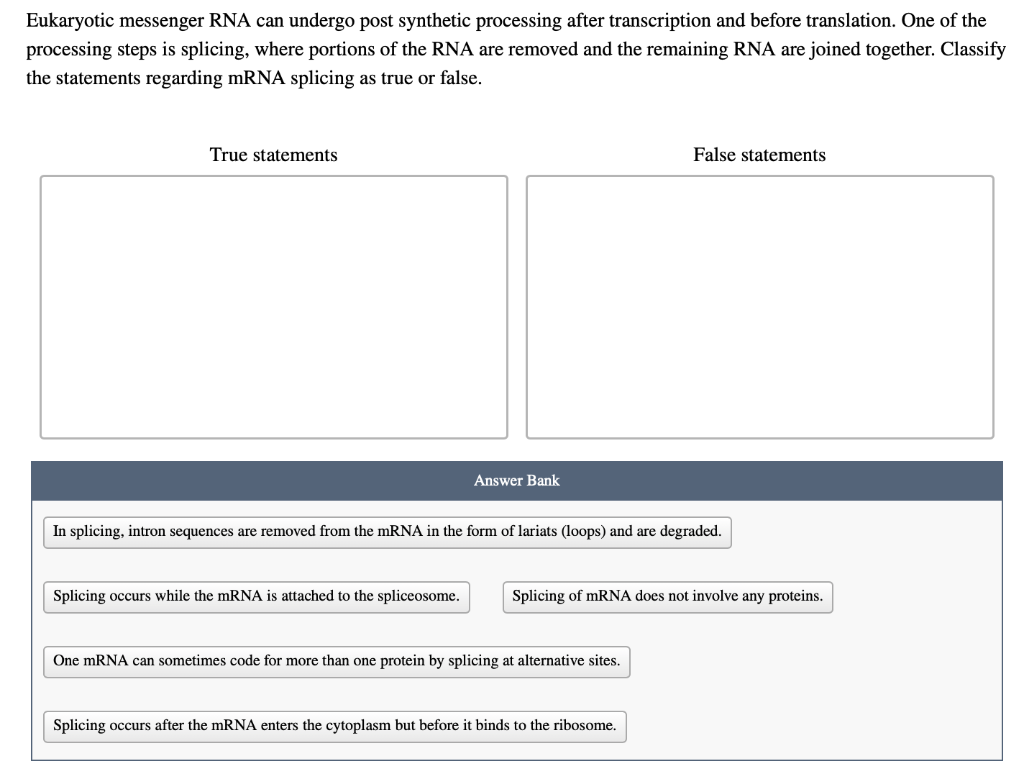 Solved Eukaryotic messenger RNA can undergo post synthetic | Chegg.com