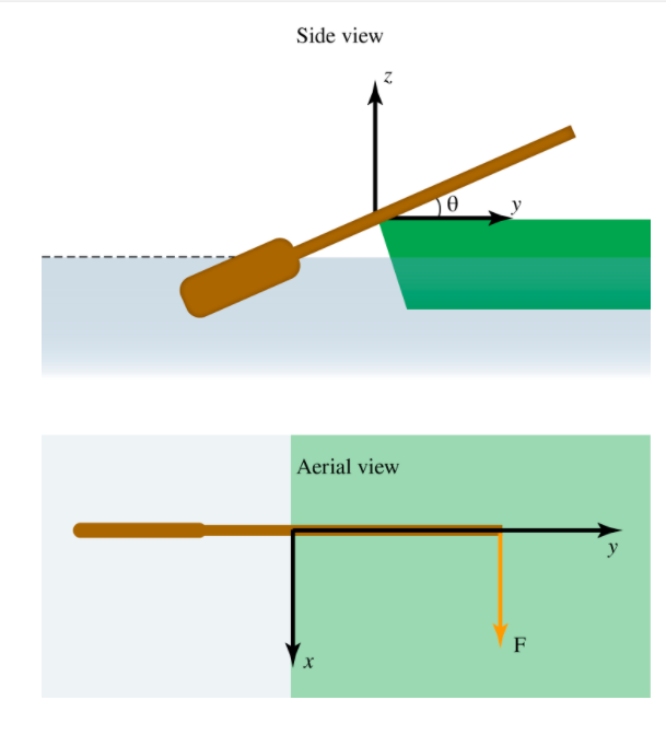 Solved Dima pulls directly backward with a force 𝐹=171 on | Chegg.com