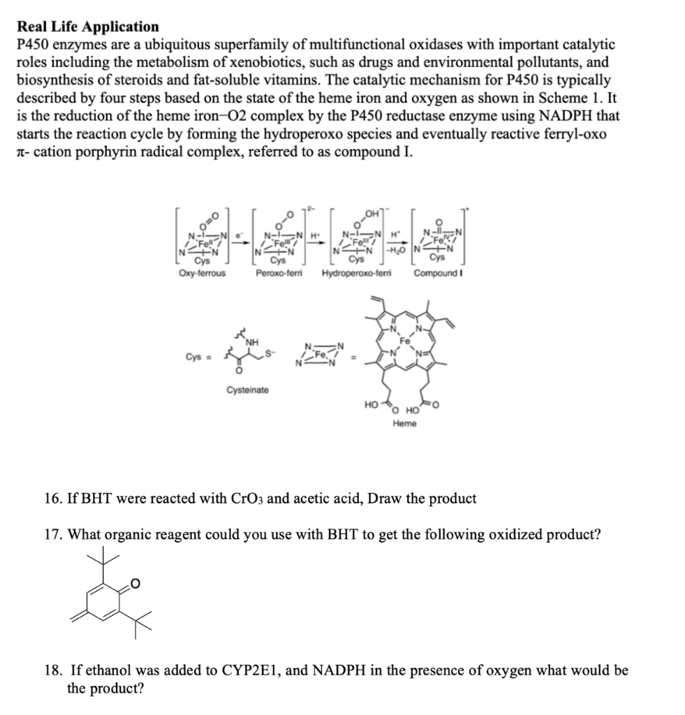 Solved Real Life Application P450 Enzymes Are A Ubiquitous Chegg Com   Phpy8qhxV