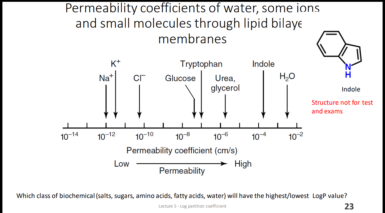 Solved Permeability Coefficients Of Water, Some Ions And | Chegg.com