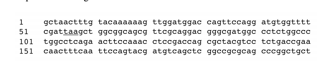 Solved Above is a single strand of DNA, the coding strand | Chegg.com