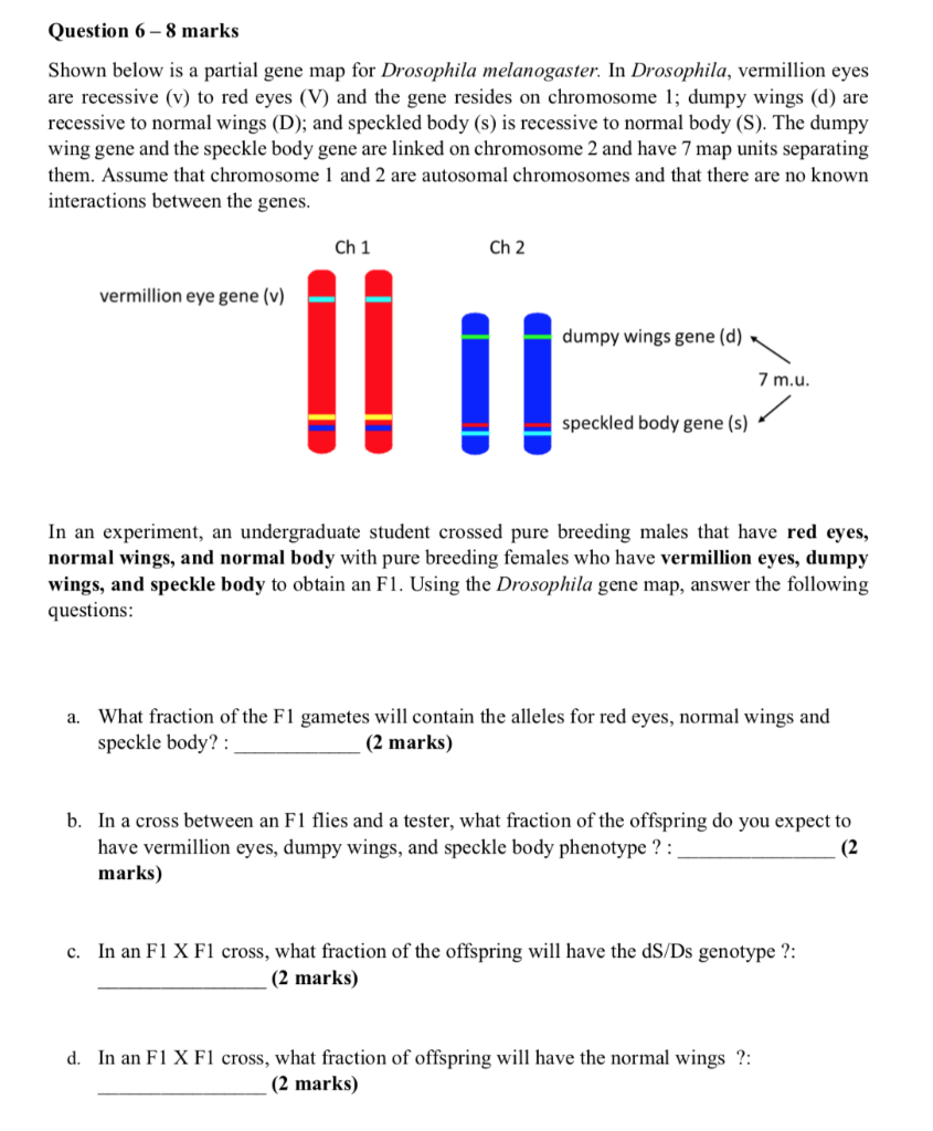 Solved Question 6 - 8 marks Shown below is a partial gene | Chegg.com