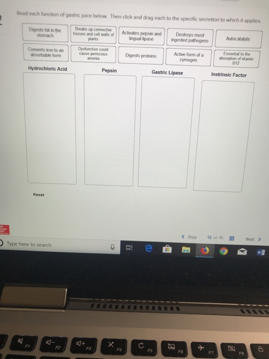 solved-read-each-function-of-gastric-juice-below-then-click-chegg