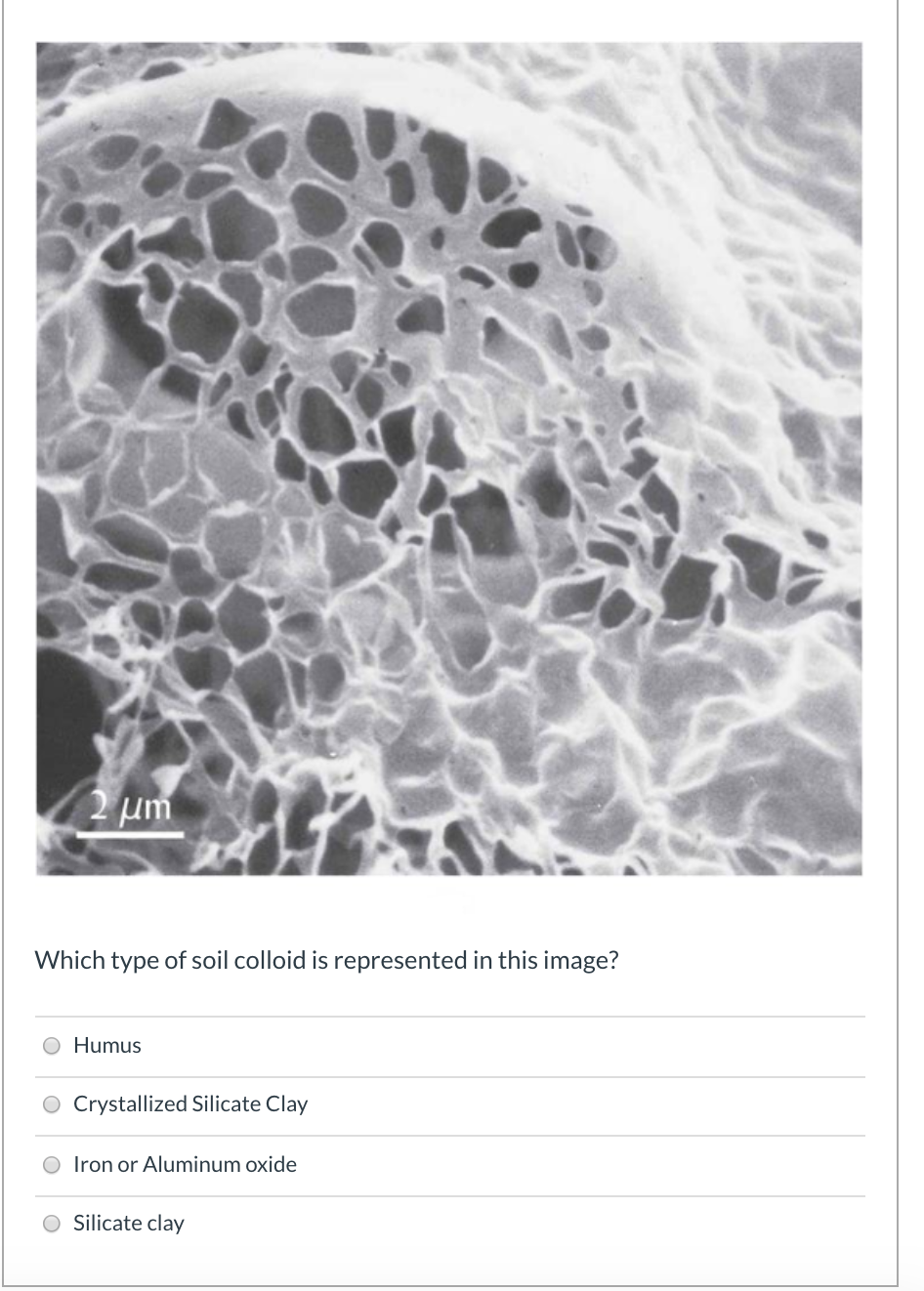 Solved 2μή Which type of soil colloid is represented in this