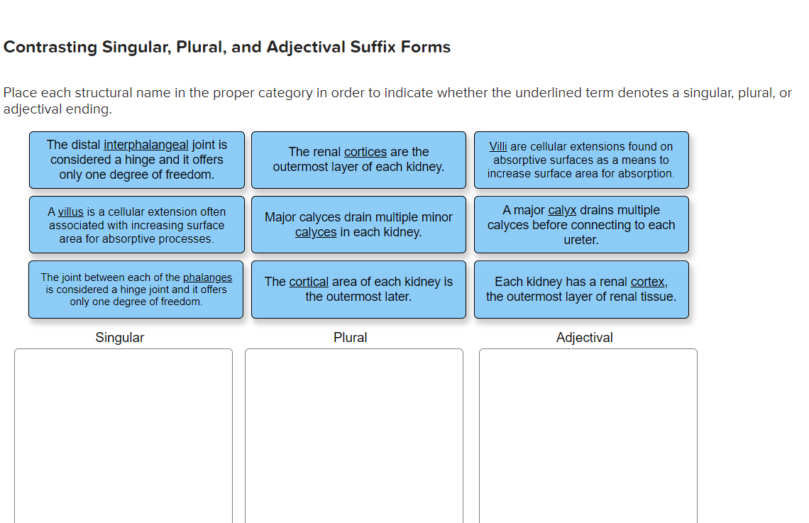 choose-the-correct-plural-form-of-the-singular-term-cortex