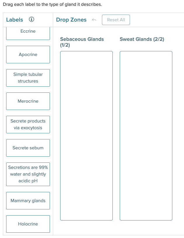 Solved Drag each label to the type of gland it describes. | Chegg.com