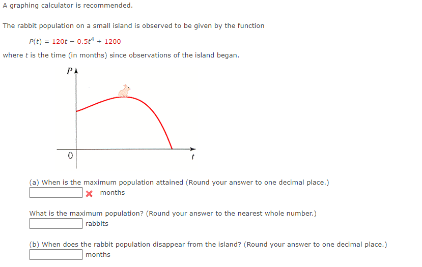 Solved A graphing calculator is recommended. The rabbit | Chegg.com