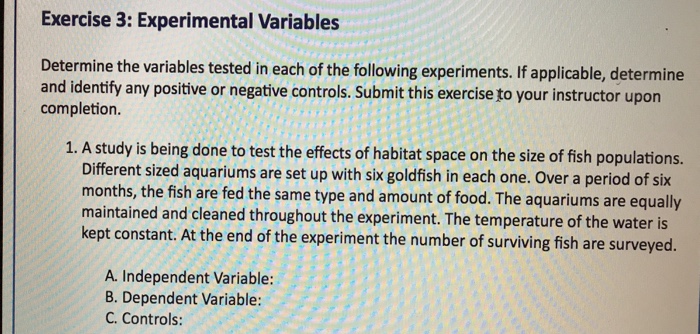 exercise 3 experimental variables