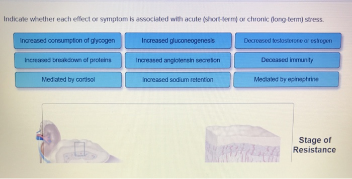 solved-indicate-whether-each-effect-or-symptom-is-associated-chegg