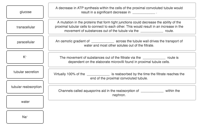 Solved Complete each statement by using the appropriate word | Chegg.com