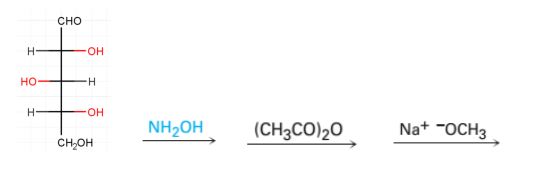 Solved The reaction sequence below is a Wohl degradation. | Chegg.com