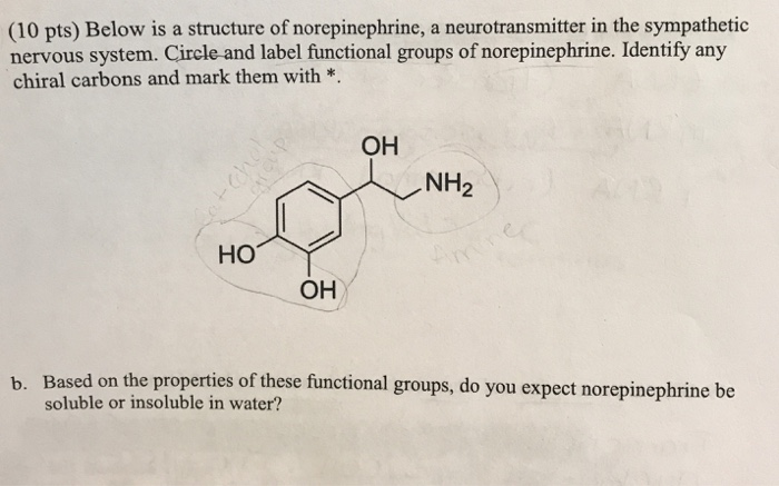 Solved (10 pts) Below is a structure of norepinephrine, a | Chegg.com