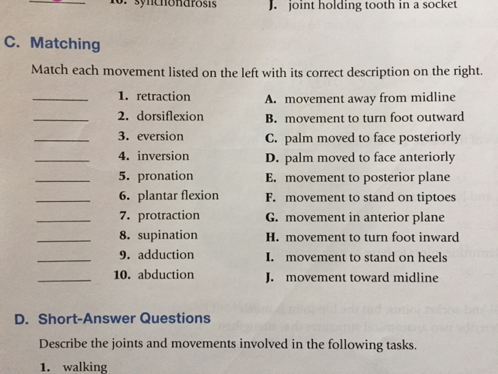 Solved Match each movement listed on the left with its