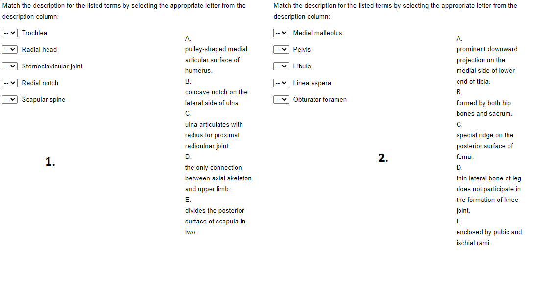 Solved Match The Description For The Listed Terms By | Chegg.com