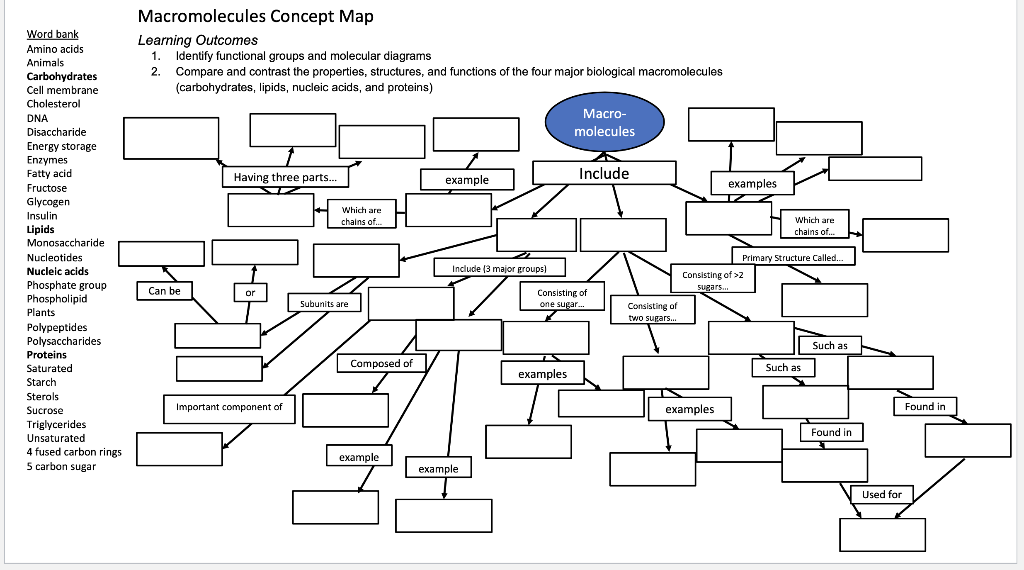 Solved Macromolecules Concept Map Word Bank Learning Outc