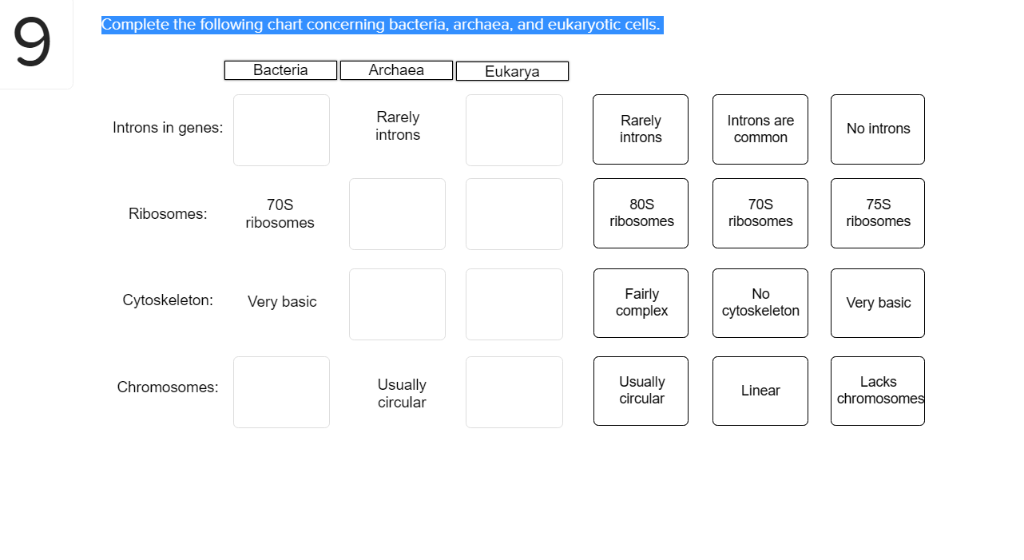 omplete-the-following-chart-concerning-bacteria-chegg