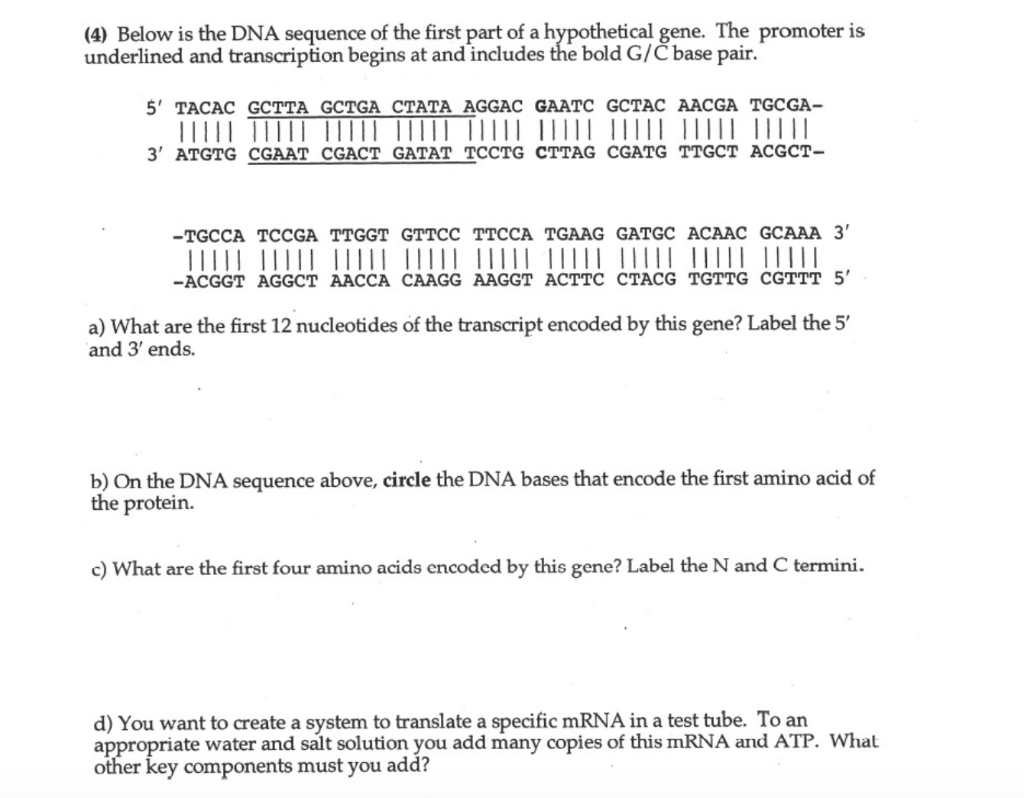 Solved (4) Below Is The Dna Sequence Of The First Part Of A 