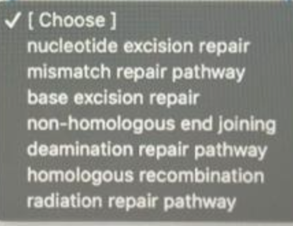 Solved [ Choose) nucleotide excision repair mismatch | Chegg.com