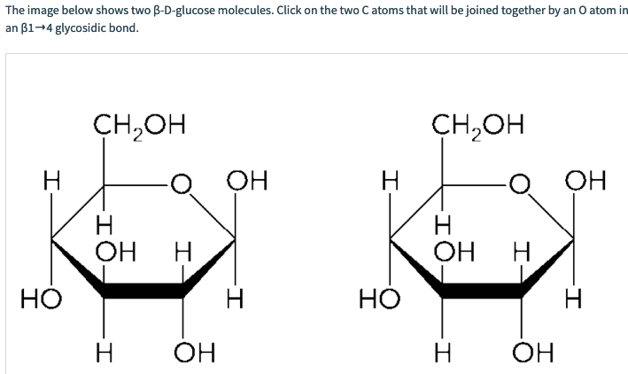 Glycosidic Bond Definition And Structure Science Query, 40% OFF