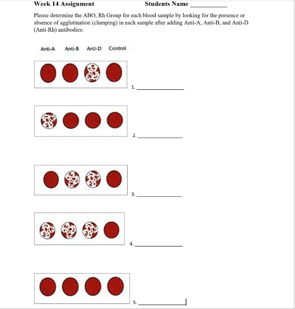 Solved Week 14 Assignment Students Name Please Determine The | Chegg.com