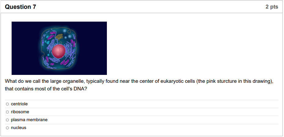 Solved Question 6 2 pts What is the term for the type of | Chegg.com