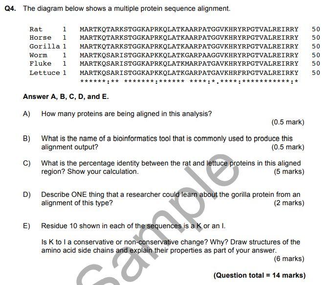 Solved Q4. The diagram below shows a multiple protein | Chegg.com