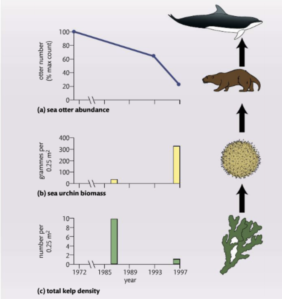 Solved Look at the image below. Based off the food chain and | Chegg.com