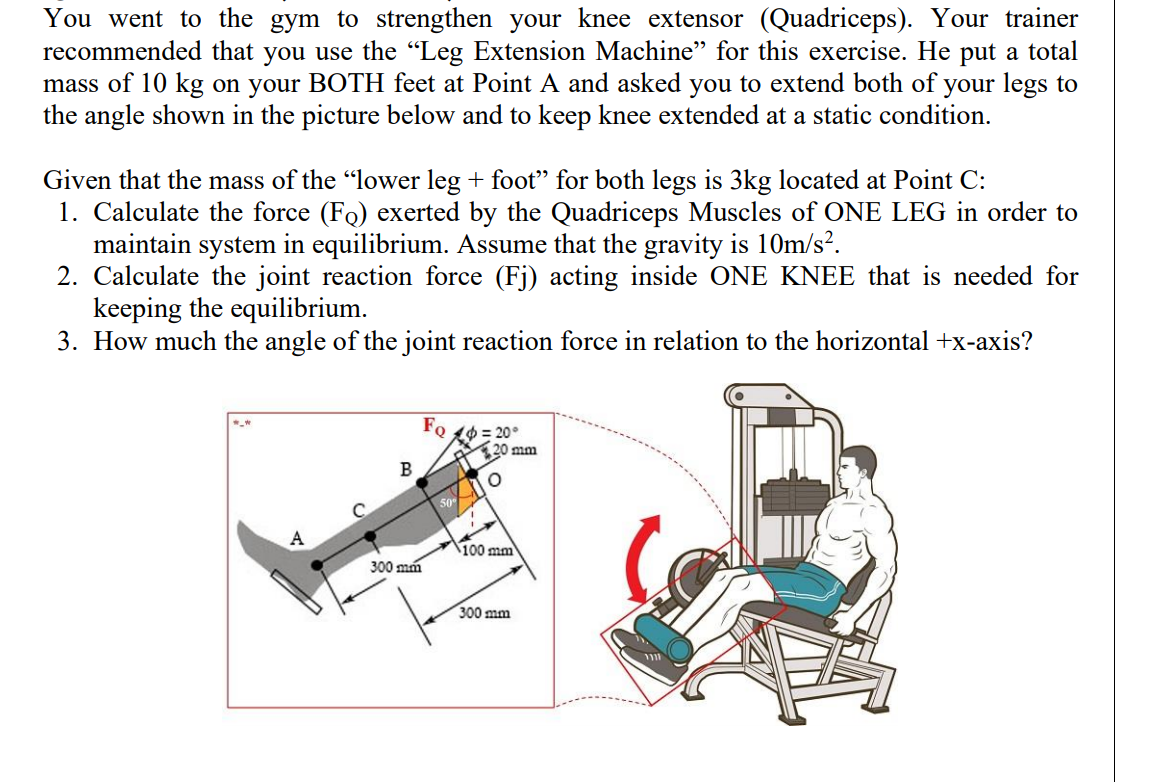 Quadriceps knee extension hot sale