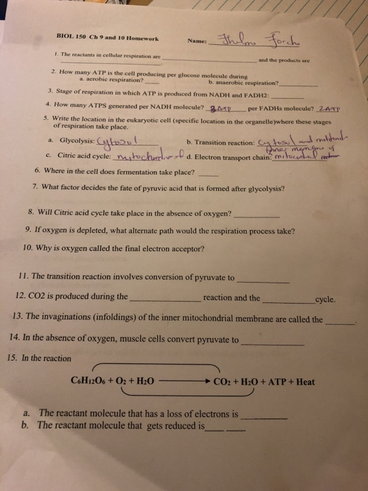 Pay for homework answers reactant