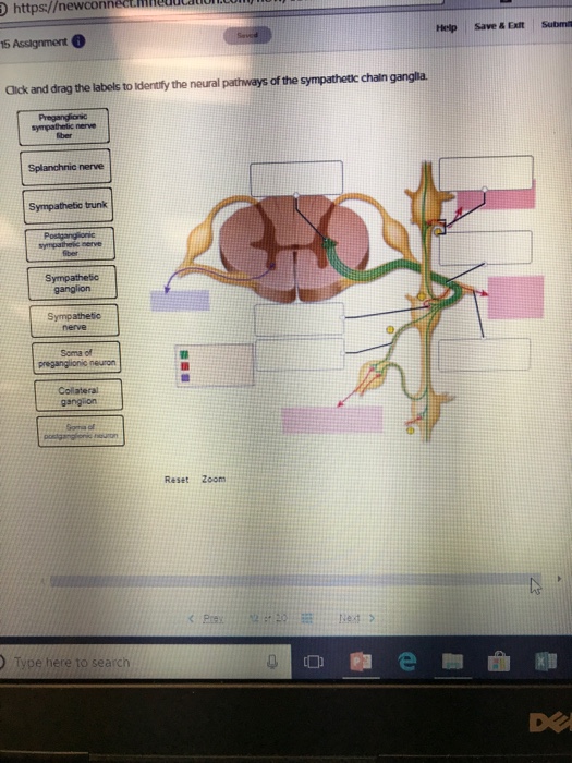 Solved: Https://newconnectl 5 Assignment Click And Drag Th... | Chegg.com