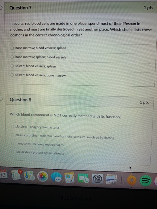 Solved Question 7 1 pts In adults, red blood cells are made | Chegg.com