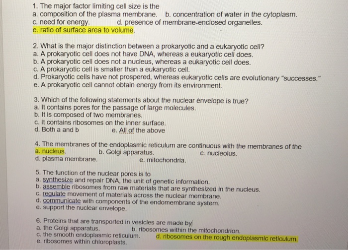 Solved 1. The major factor limiting cell size is the a. | Chegg.com