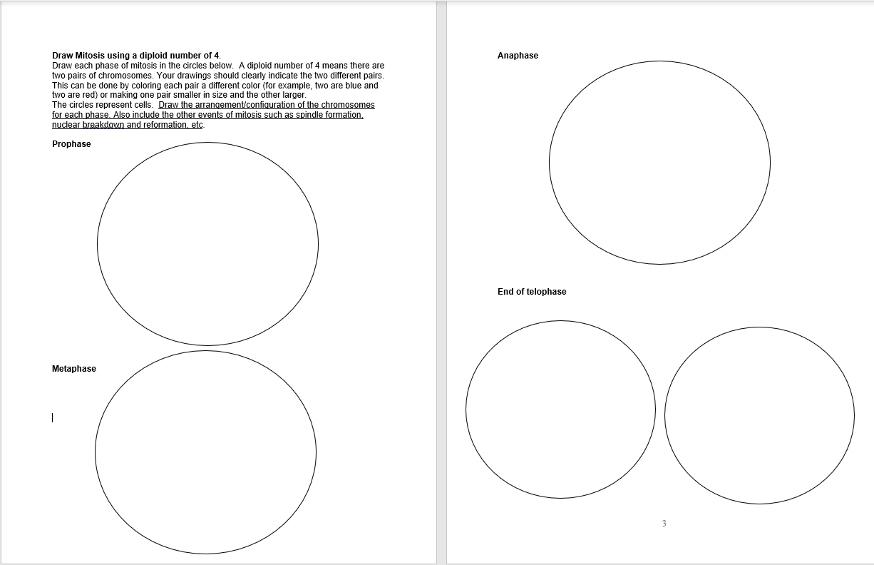 Solved Anaphase Draw Mitosis using a diploid number of 4. | Chegg.com