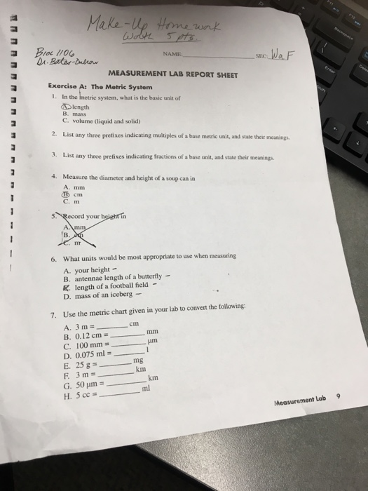 How to measure your height at home linesloxa