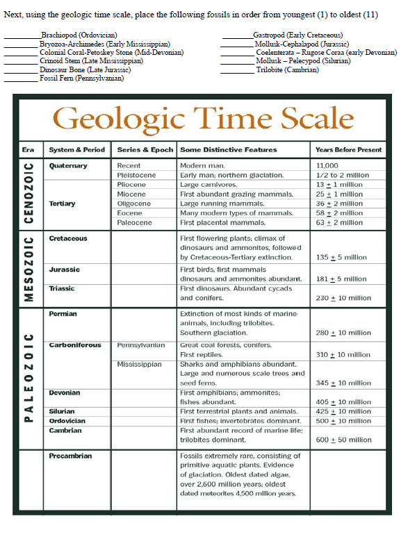 Solved Next, using the geologic time scale, place the | Chegg.com